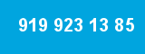 919 923 13 85